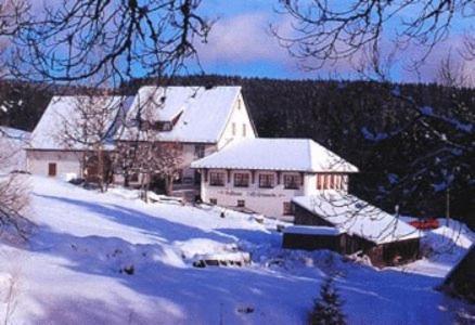 Pension Loeffelschmiede Lenzkirch Εξωτερικό φωτογραφία